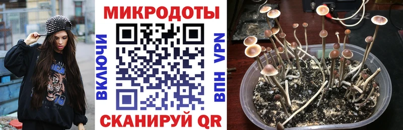 Галлюциногенные грибы GOLDEN TEACHER  Купить где  Валуйки 